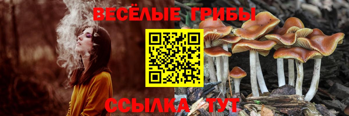 Галлюциногенные грибы MAGIC MUSHROOMS Керчь