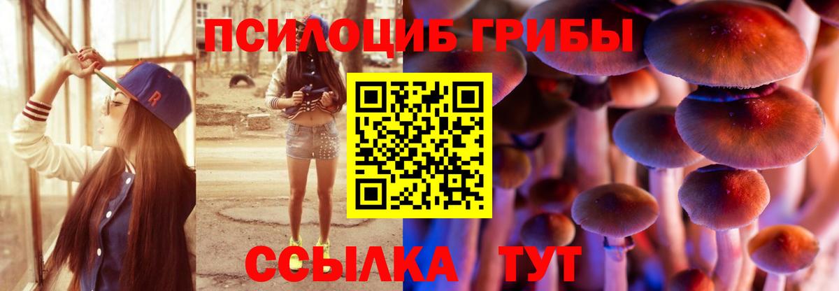 Керчь  Галлюциногенные грибы GOLDEN TEACHER  Псилоцибиновые грибы Cubensis  Вход с VPN 